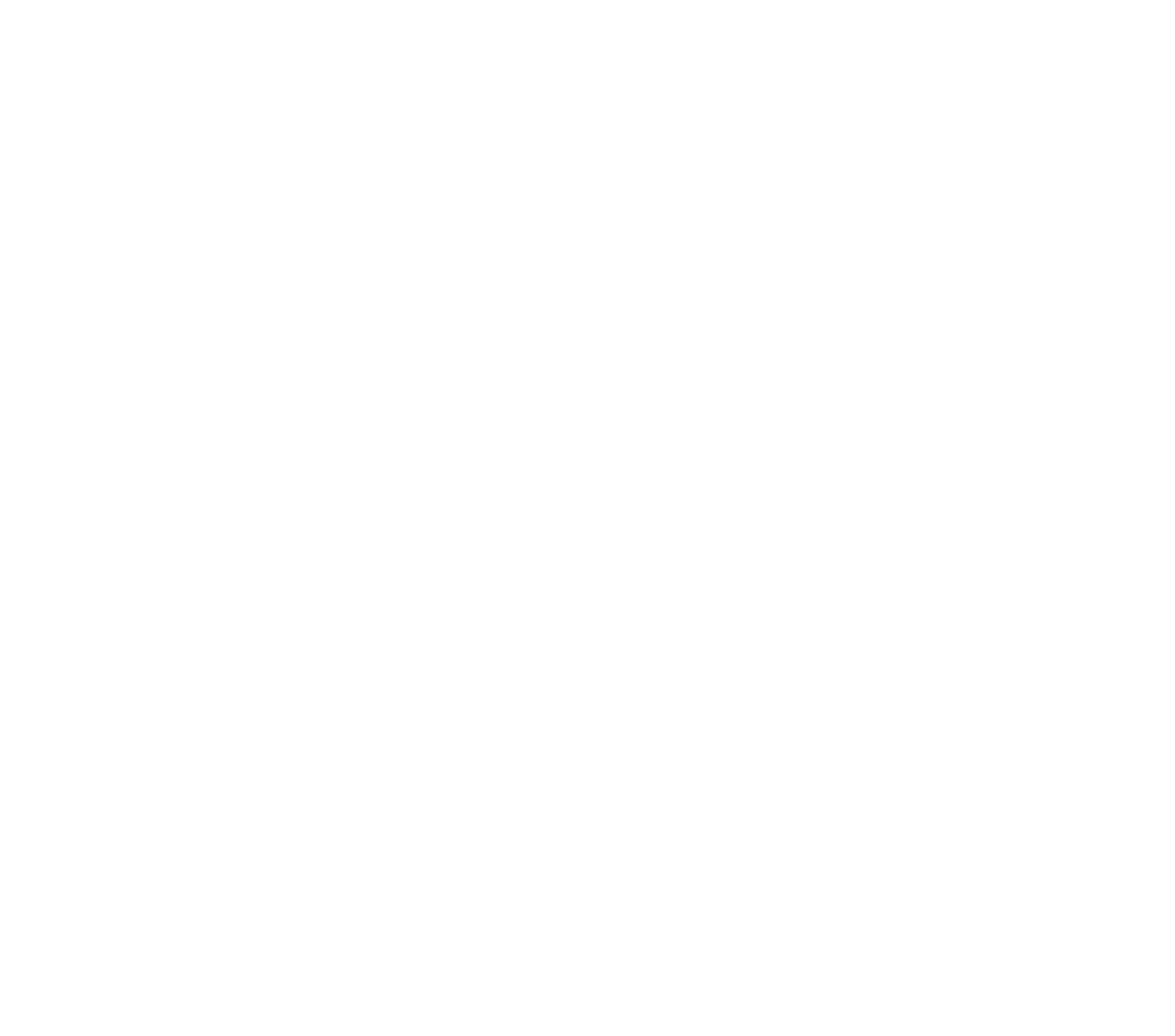 boracai-logo-BLANCO